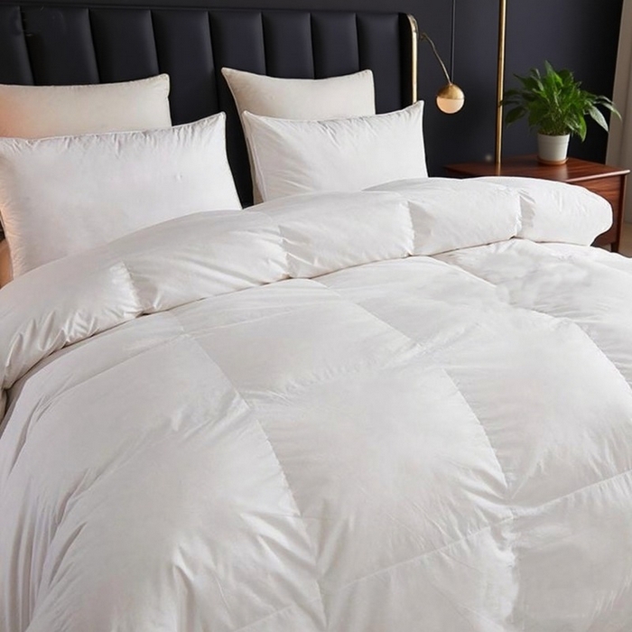 安力森/诚臻酒店用品 2025新款羽绒被芯五星级酒店款加厚保暖抗菌防螨被芯 70%白鹅绒250G/M2