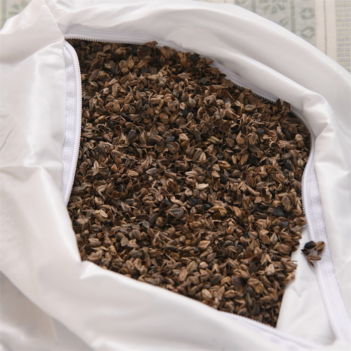 91家纺网 家纺一手货源 找家纺 织布人 2025新款全棉棉麻流梳花边全荞麦壳枕头成人家用学生助睡眠硬枕芯 棉麻流梳花边枕-浅绿