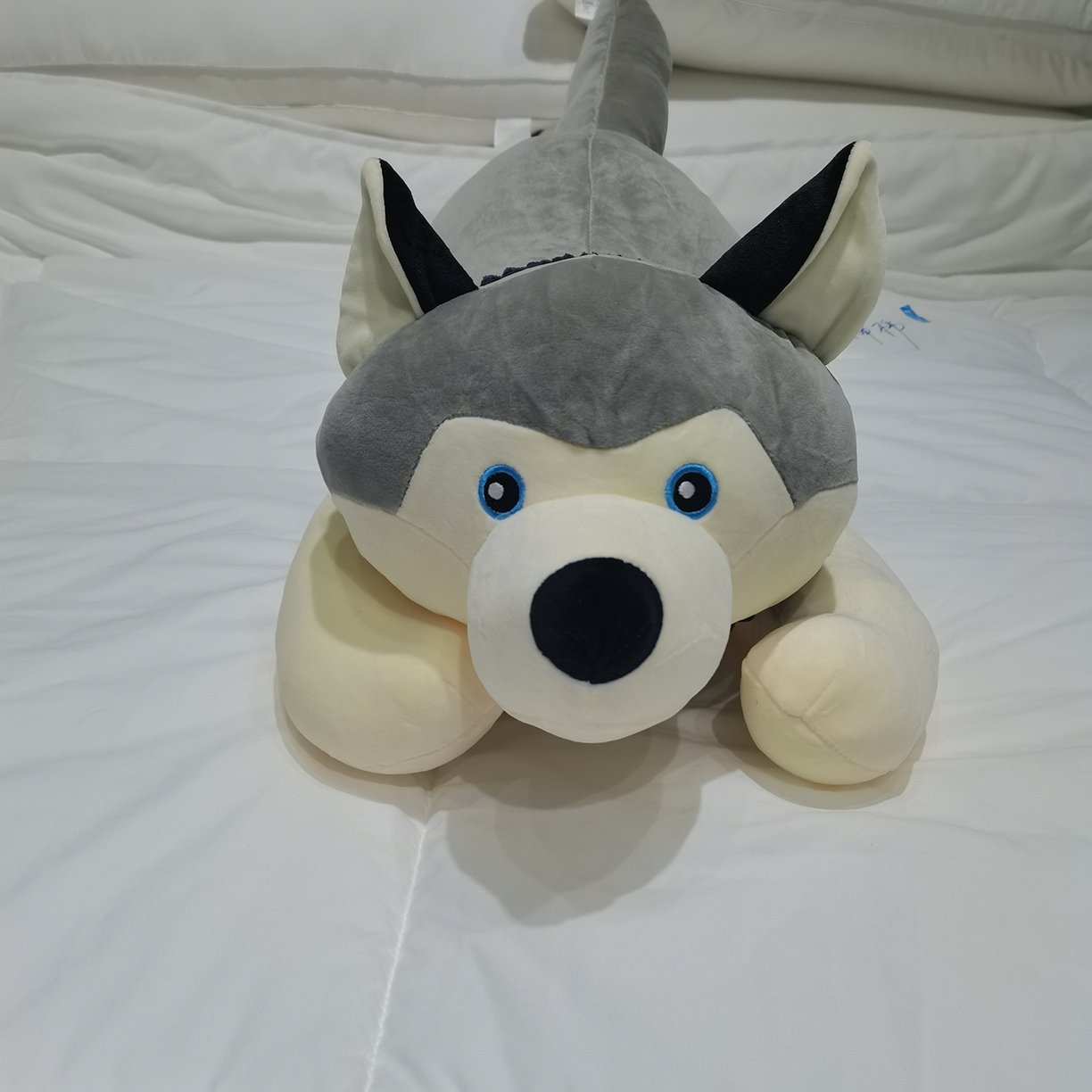 91家纺网 家纺一手货源 找家纺 安力森/诚臻酒店用品 2025新款软萌动物毛绒公仔合集 大象 / 哈士奇 / 小熊玩偶 床上抱枕枕头礼物 哈士奇