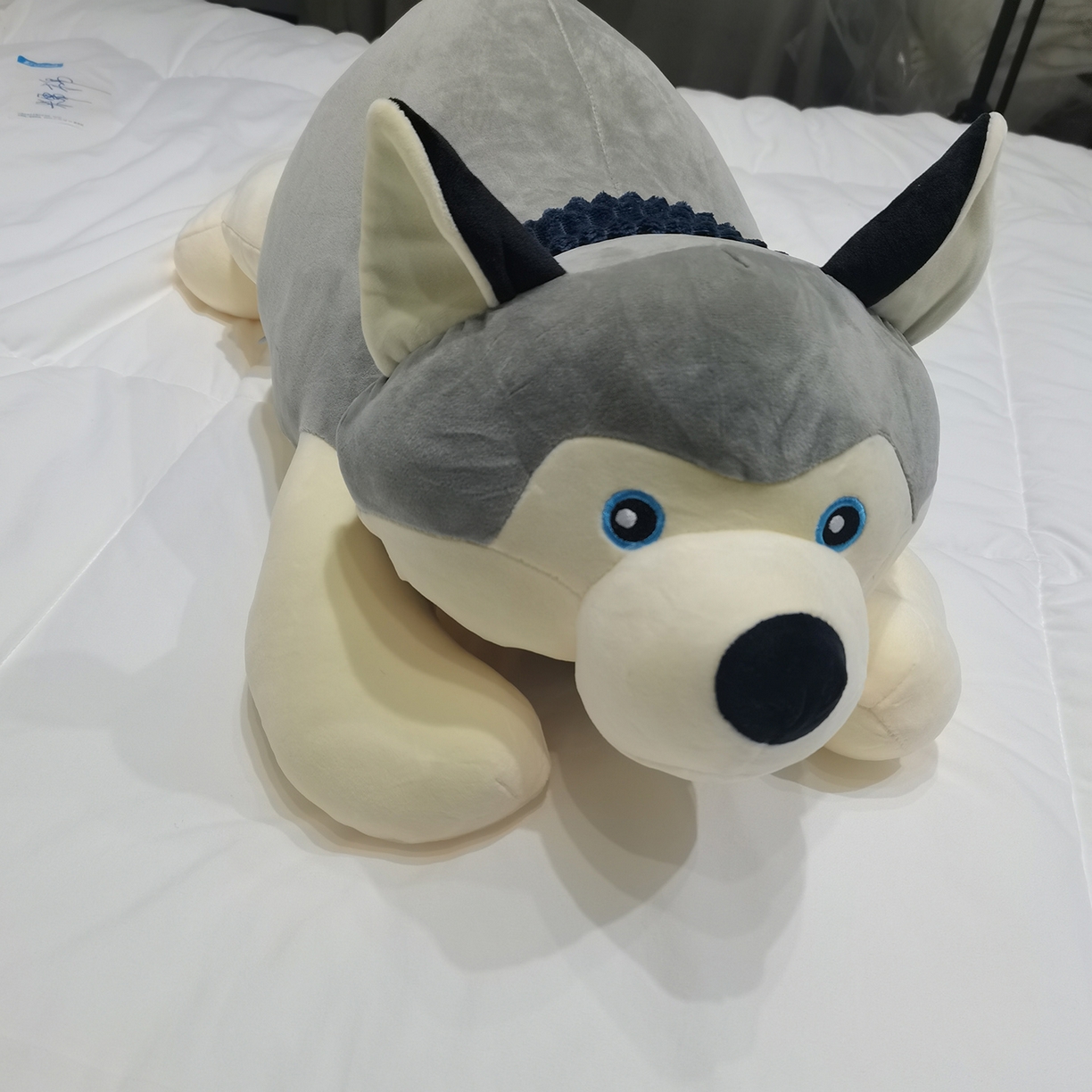 91家纺网 家纺一手货源 找家纺 安力森/诚臻酒店用品 2025新款软萌动物毛绒公仔合集 大象 / 哈士奇 / 小熊玩偶 床上抱枕枕头礼物 哈士奇