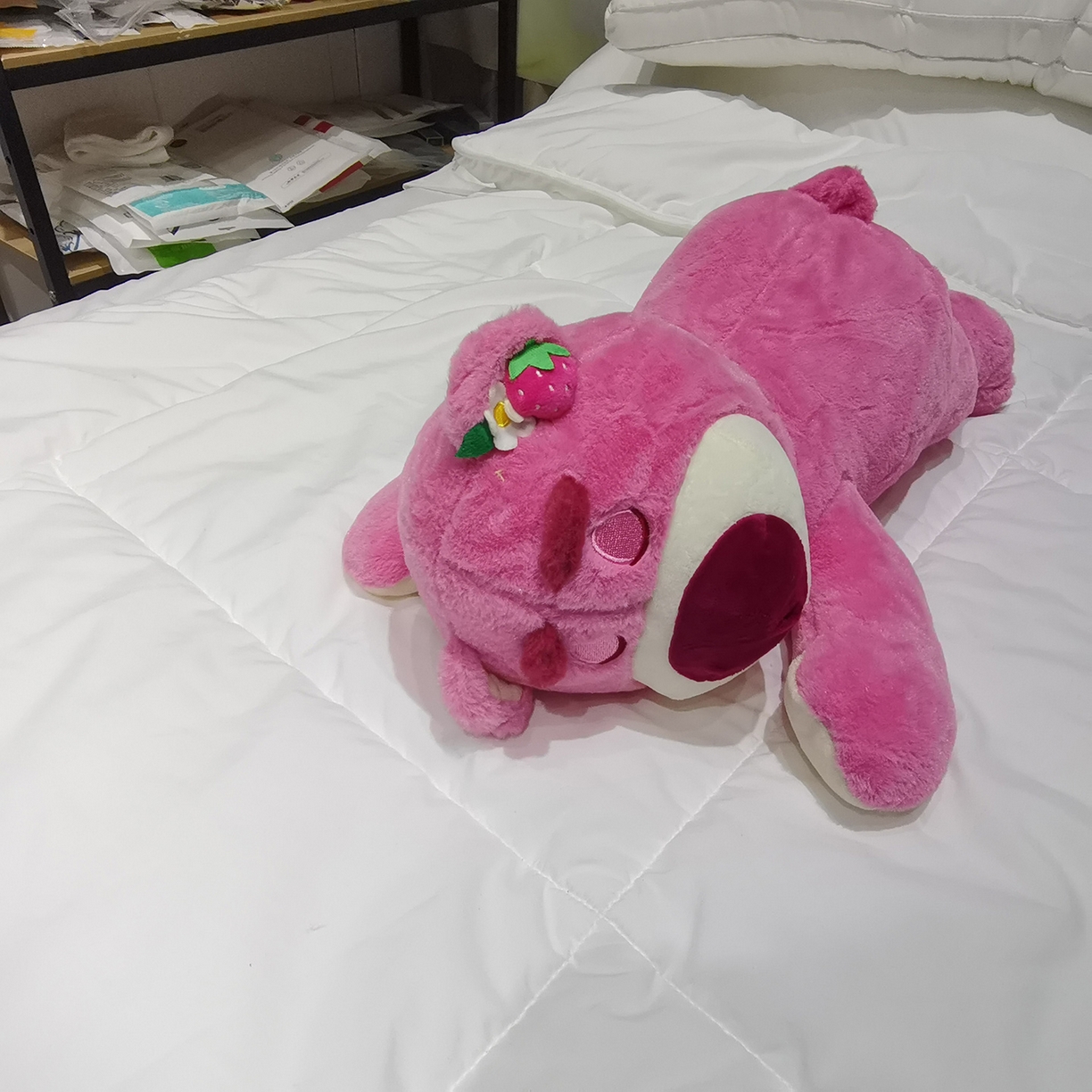 91家纺网 家纺一手货源 找家纺 安力森/诚臻酒店用品 2025新款软萌动物毛绒公仔合集 大象 / 哈士奇 / 小熊玩偶 床上抱枕枕头礼物 草莓熊