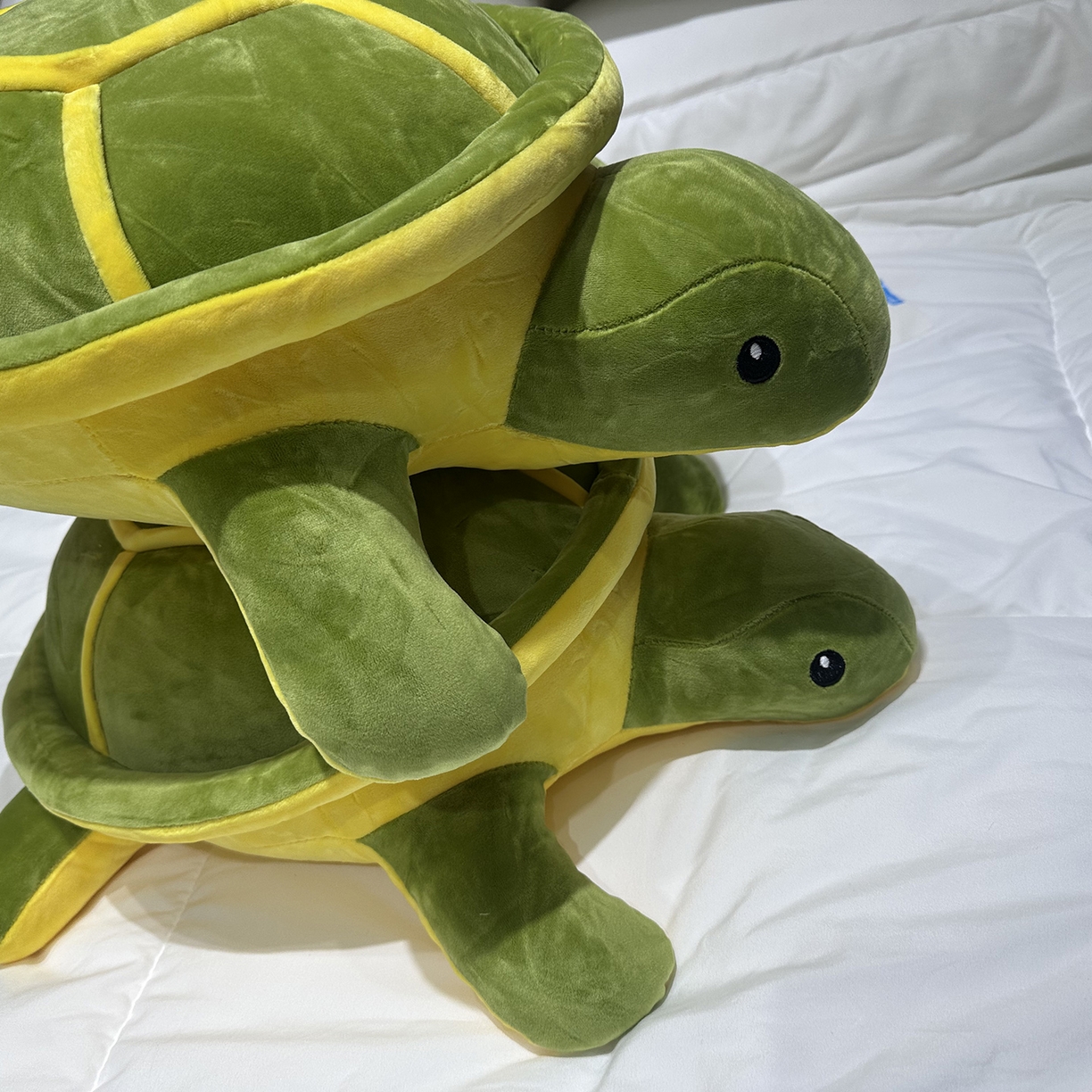 91家纺网 家纺一手货源 找家纺 安力森/诚臻酒店用品 2025新款软萌动物毛绒公仔合集 大象 / 哈士奇 / 小熊玩偶 床上抱枕枕头礼物 小乌龟