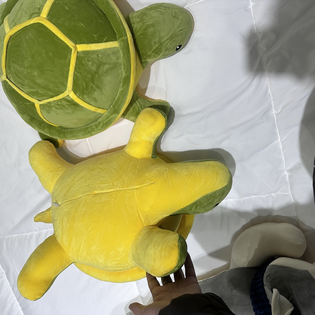 91家纺网 家纺一手货源 找家纺 安力森/诚臻酒店用品 2025新款软萌动物毛绒公仔合集 大象 / 哈士奇 / 小熊玩偶 床上抱枕枕头礼物 小乌龟