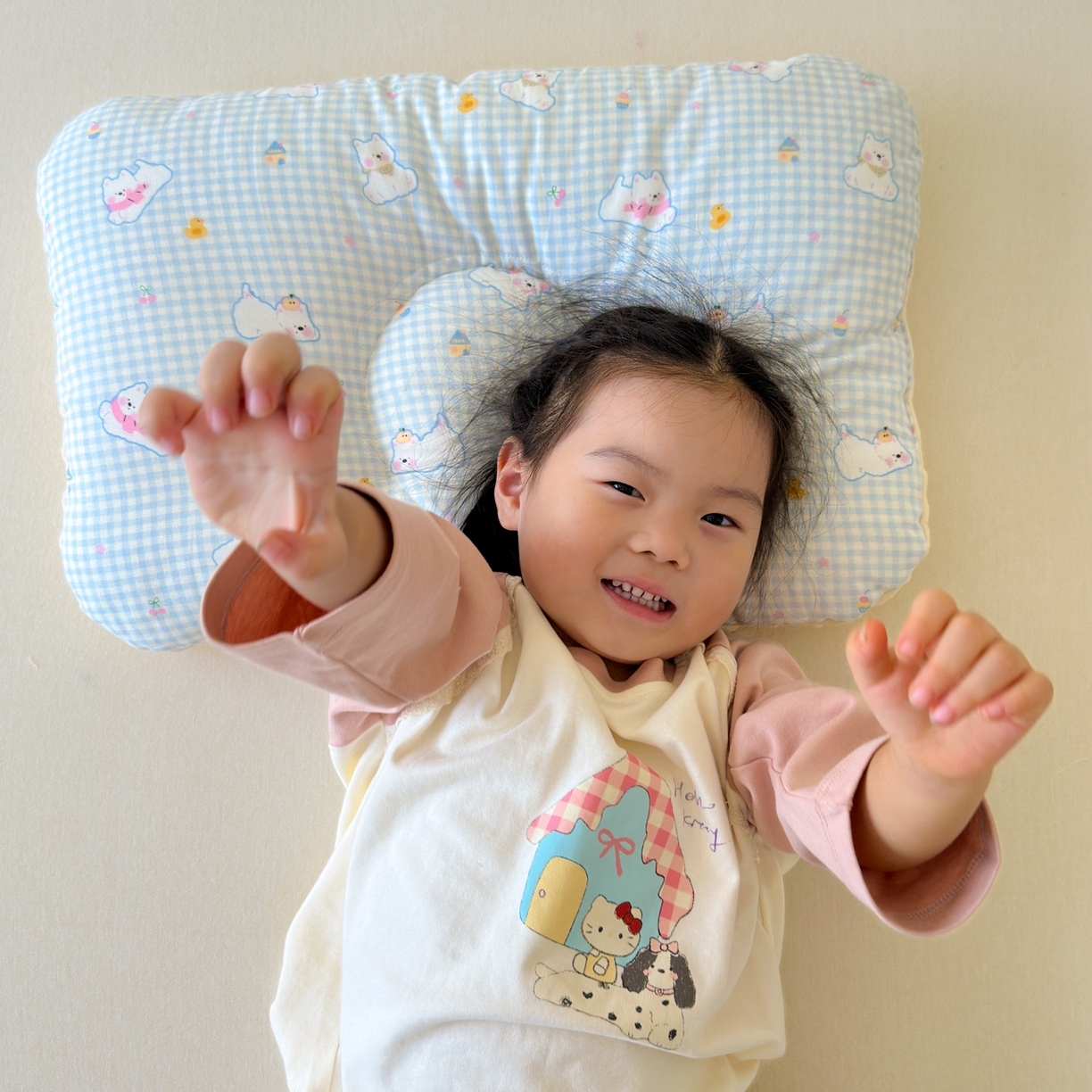 91家纺网 家纺一手货源 找家纺 北鸣有鱼枕芯馆 2025新款漫画家系列全棉双层纱豆豆枕枕头枕芯 西高地-40x60cm