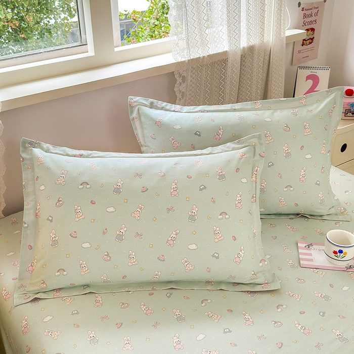 拾物记 2026新款第一批12868A类全棉单品枕套系列 彩虹兔