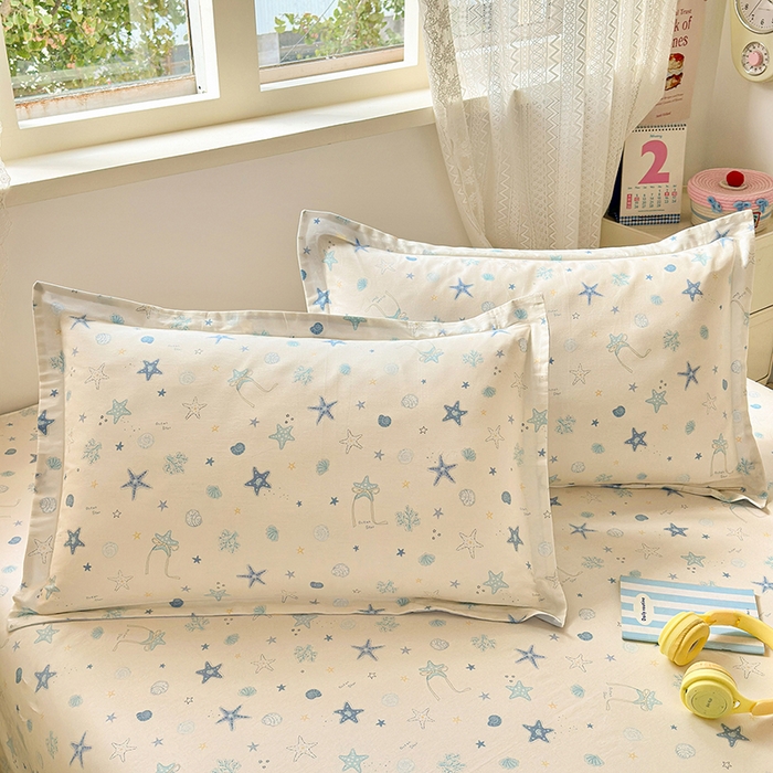 拾物记 2026新款第一批12868A类全棉单品枕套系列 挽星河