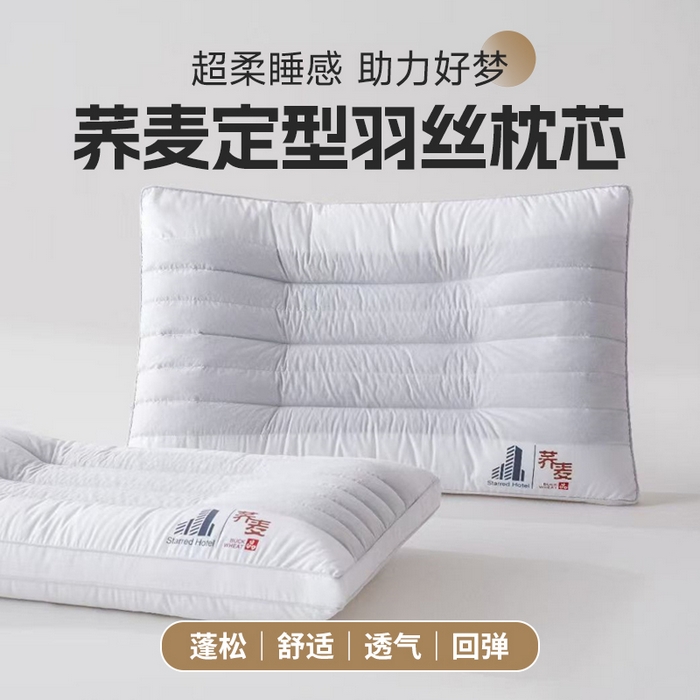 （总）剑桥枕业 2025新款星级酒店荞麦定型羽丝枕芯 剑桥枕业新品高端款式好枕头