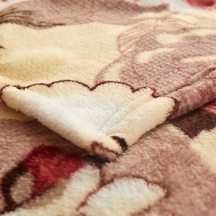 91家纺网 家纺一手货源 找家纺 益利多 2026新款160克法莱绒毛毯水晶绒外贸跨境盖毯珊瑚绒可单个压缩 花间蜜语