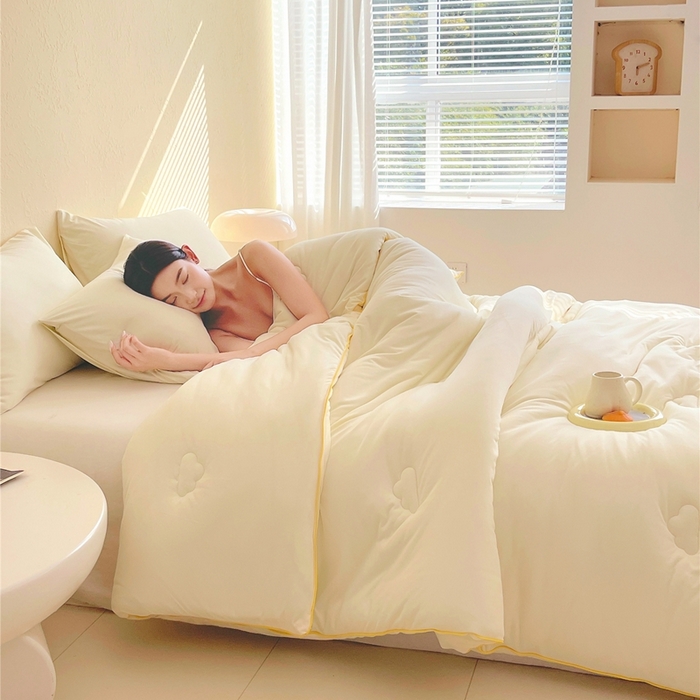 91家纺网 家纺一手货源 找家纺 （总）佰亿莱 2025新款亲肤超柔云朵棉牛奶大豆被子被芯