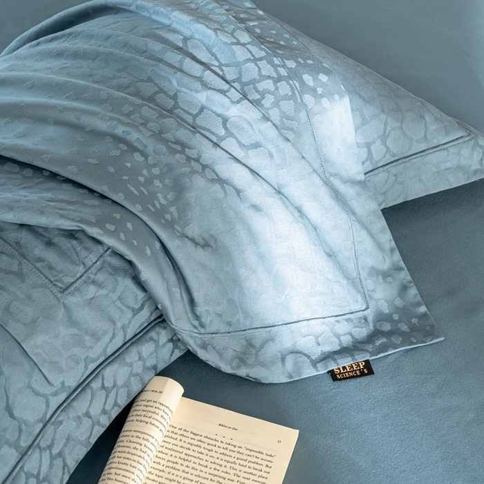 91家纺网 家纺一手货源 找家纺 莱豫家纺 2025新款100支长绒棉纯棉提花磨毛四件套 富士山战舰蓝