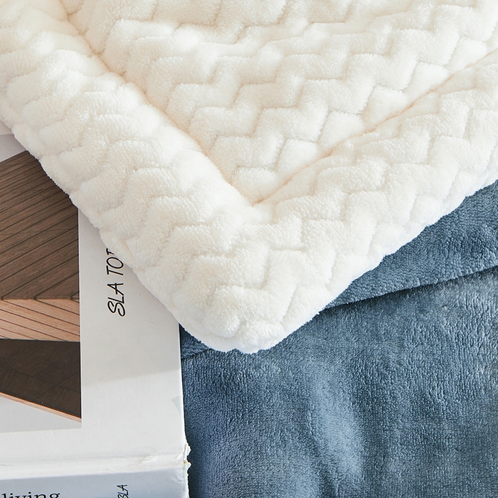 91家纺网 家纺一手货源 找家纺 小叮当家纺仓储工厂店 2025新款A类母婴级婴童毯子三层加厚牛奶绒毛毯牛奶绒毯子午睡毯珊瑚绒毛毯 毯子 苹果-雾蓝