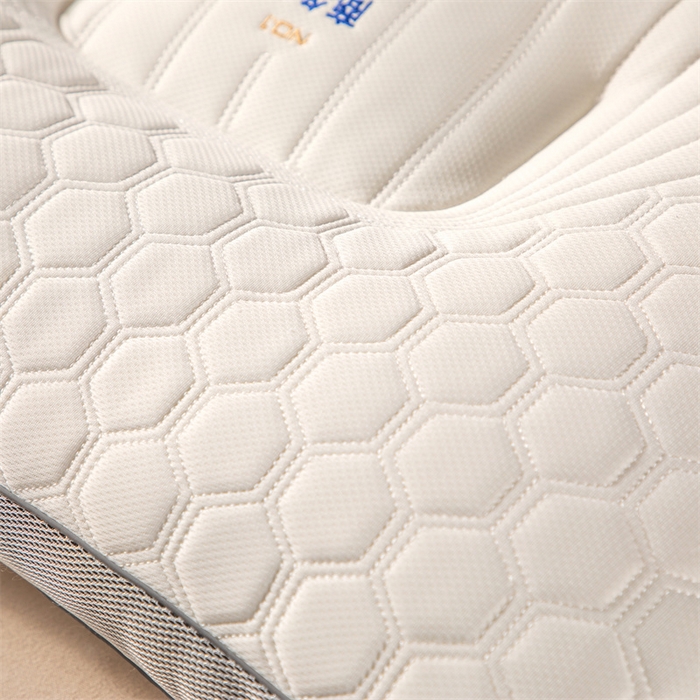 91家纺网 家纺一手货源 找家纺 （总）胜诗梵  2025新款商务舱云端乳胶枕