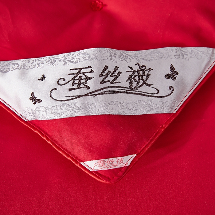 91家纺网 家纺一手货源 找家纺 畅畅家纺 2025新款洛卡棉手工订花羽丝棉封口冬被被子被芯 温馨红