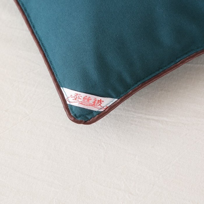 91家纺网 家纺一手货源 找家纺 畅畅家纺 2025新款洛卡棉手工订花羽丝棉封口冬被被子被芯 蓝色