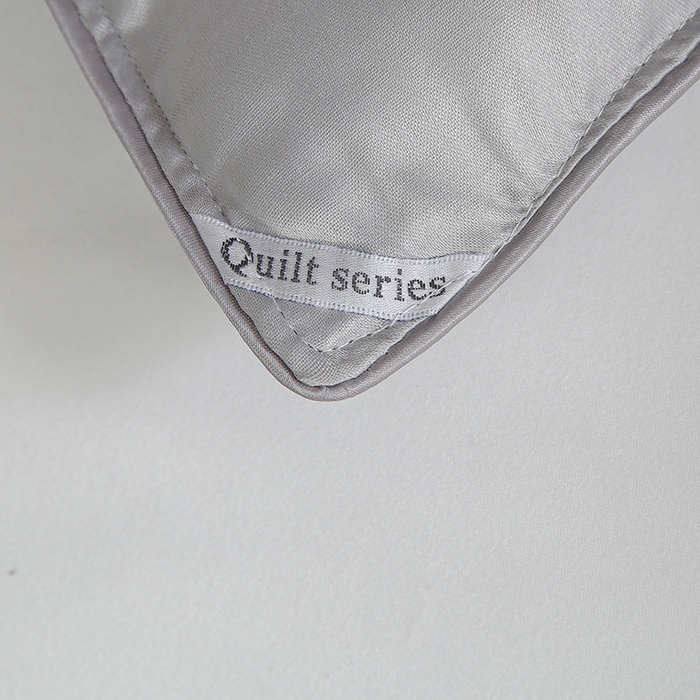 91家纺网 家纺一手货源 找家纺 畅畅家纺 2025新款微商热款蝴蝶丝棉被加厚全棉纯棉莫代尔提花手工订花被子被芯 经典灰