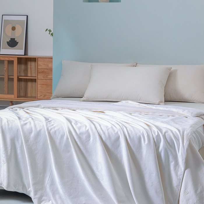 91家纺网 家纺一手货源 找家纺 茧月家纺 2025新款拉链款二合一蚕丝子母被被子被芯 白色