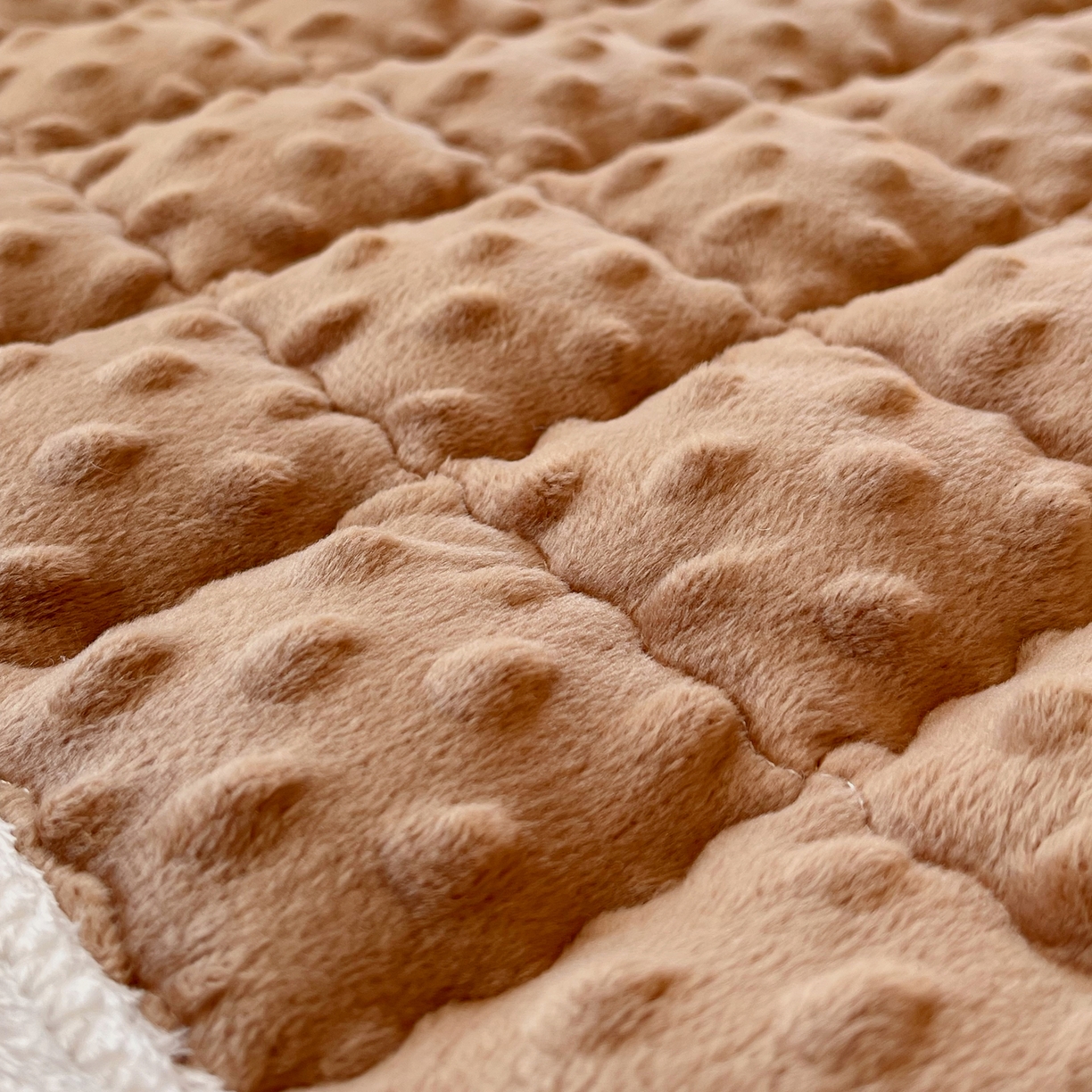 91家纺网 家纺一手货源 找家纺 金鑫汇家纺 2025新款加厚牛奶豆豆绒暖绒包边床褥垫 学生床：豆豆绒床褥垫：咖色