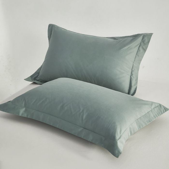 红淳家纺 2025新款50支长绒棉贡缎磨毛单枕套系列 云青