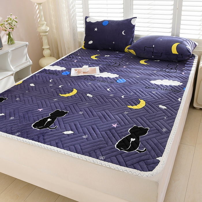 91家纺网 家纺一手货源 找家纺 圣楚家纺 2025新款牛奶绒加厚保暖夹棉床褥床垫 晚安