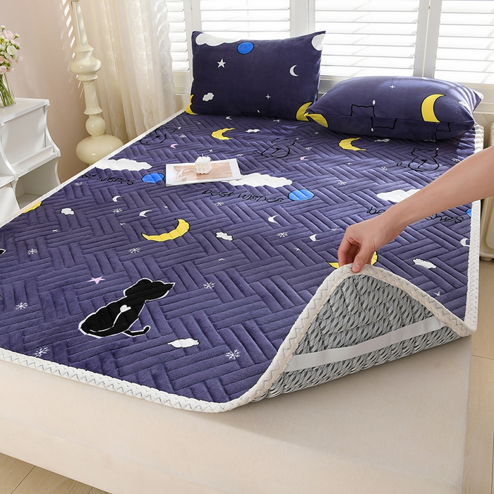 圣楚家纺 2025新款牛奶绒加厚保暖夹棉床褥床垫 晚安