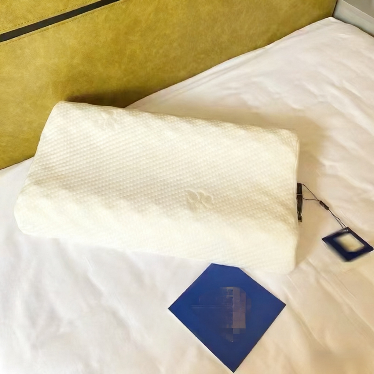 91家纺网 家纺一手货源 找家纺 （总）盛隆 2025新款大狼牙枕枕头枕芯