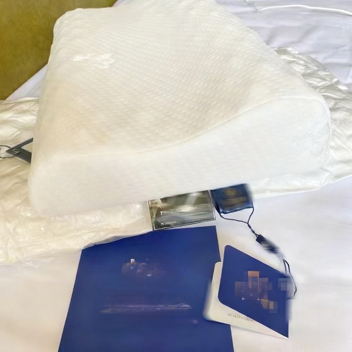 91家纺网 家纺一手货源 找家纺 （总）盛隆 2025新款狼牙枕记忆枕枕头枕芯