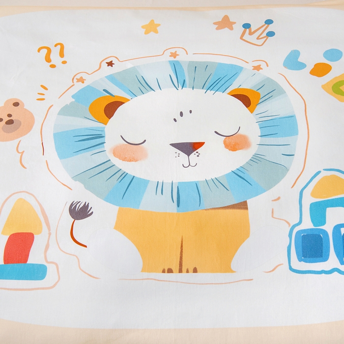 91家纺网 家纺一手货源 找家纺 梵赫 2025新款100%棉冬款加厚全棉被套+被芯四季款盖毯 狮子先生