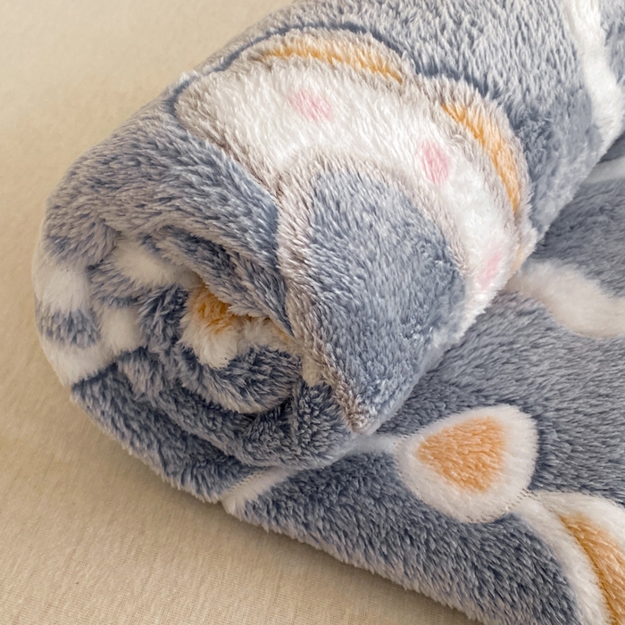 91家纺网 家纺一手货源 找家纺 爱彼家纺 2025热门冬季加厚雪花绒印花多功能毛毯毯子修色图-系列二 恐龙仔