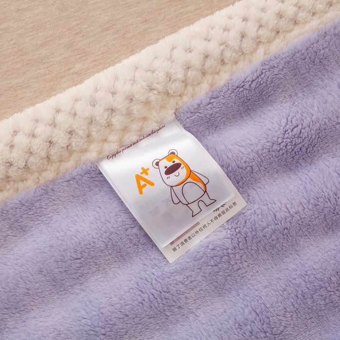 91家纺网 家纺一手货源 找家纺 爱彼家纺 2025热门冬季新款玉兔云绒毛毯单盖毯-多主图系列一 玉兔云绒-芋紫