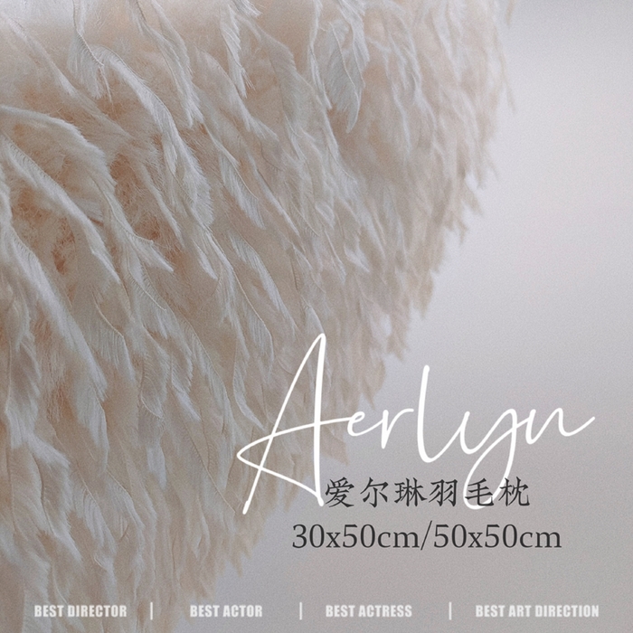 91家纺网 家纺一手货源 找家纺 露函家居 2025新款尔琳羽毛抱枕 羽毛腰枕