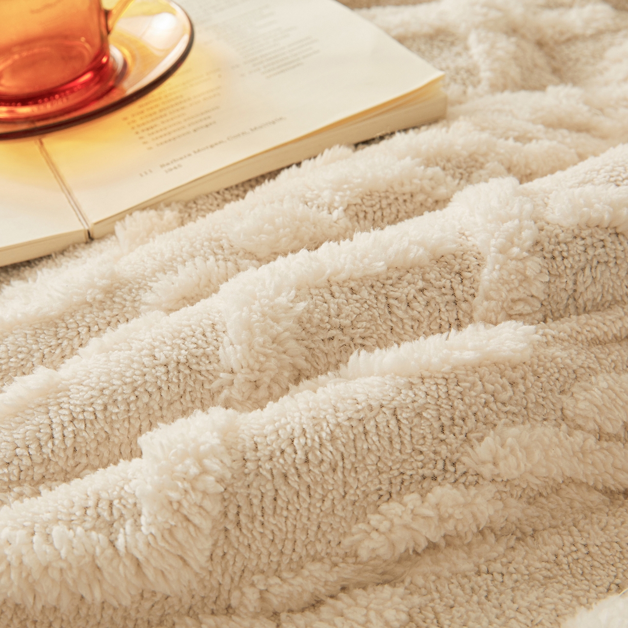 91家纺网 家纺一手货源 找家纺 晓时候 2025新款塔芙绒冬被羊羔绒北极绒加厚被子被芯 米白