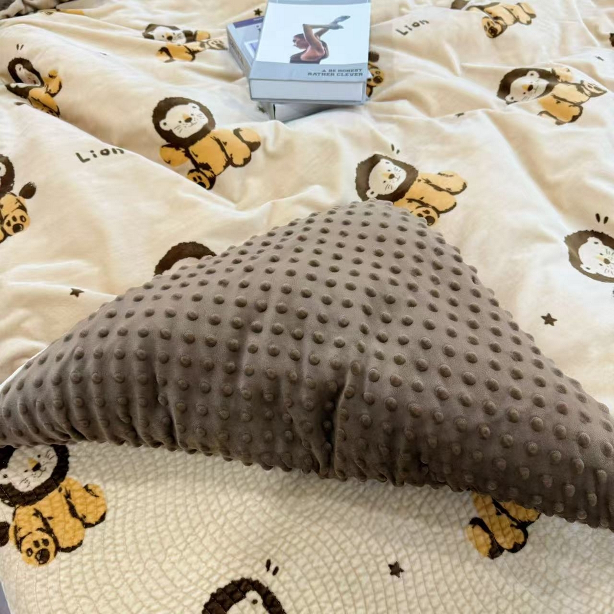 91家纺网 家纺一手货源 找家纺 床盖工厂店 2025新款宝宝绒床盖四件套 小狮子