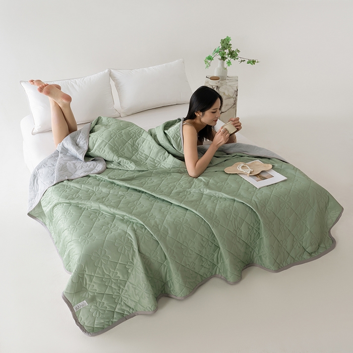 91家纺网 家纺一手货源 找家纺 伊梵居 2026新款简约凉感丝夏被夏凉被空调被 果绿色