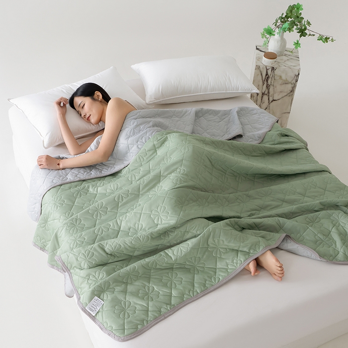 91家纺网 家纺一手货源 找家纺 伊梵居 2026新款简约凉感丝夏被夏凉被空调被 果绿色