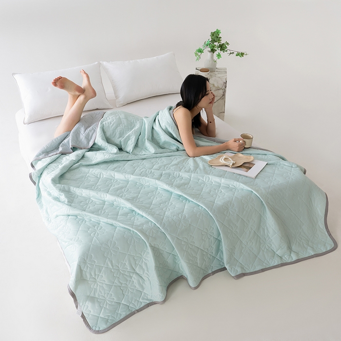 91家纺网 家纺一手货源 找家纺 伊梵居 2026新款简约凉感丝夏被夏凉被空调被 浅绿色