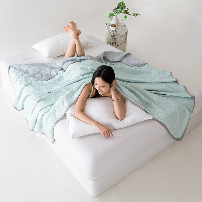 91家纺网 家纺一手货源 找家纺 伊梵居 2026新款简约凉感丝夏被夏凉被空调被 浅绿色