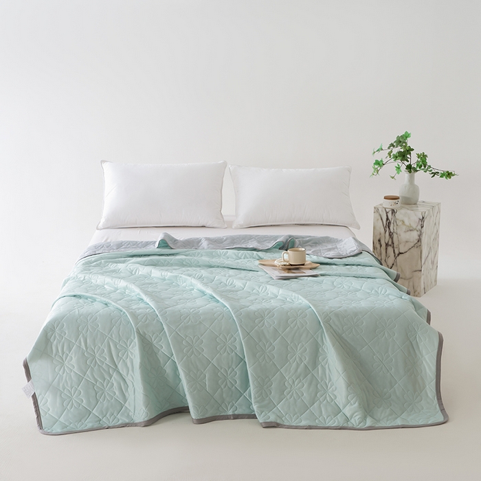 91家纺网 家纺一手货源 找家纺 伊梵居 2026新款简约凉感丝夏被夏凉被空调被 浅绿色