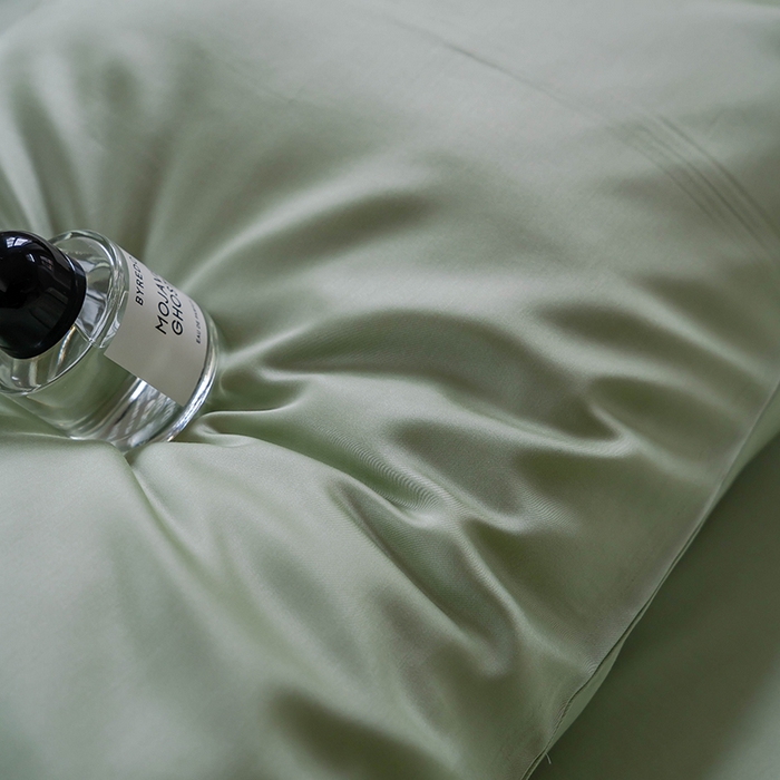 91家纺网 家纺一手货源 找家纺 浩情国际婚庆供货中心 2026新款60支奥地利兰精天丝纯色双拼系列四件套 嫩芽绿