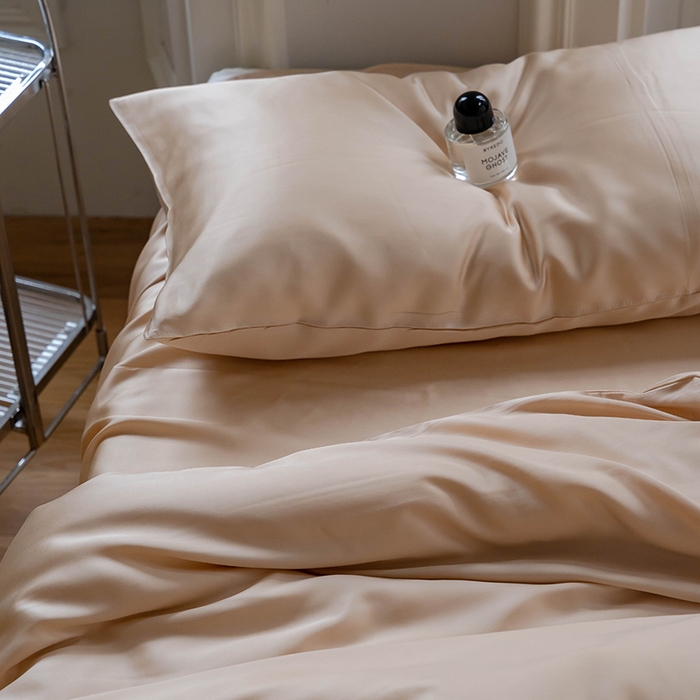 91家纺网 家纺一手货源 找家纺 浩情国际婚庆供货中心 2026新款60支奥地利兰精天丝纯色双拼系列四件套 沙茶色