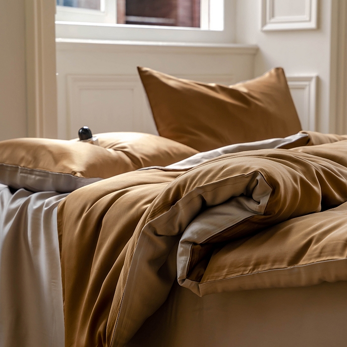 91家纺网 家纺一手货源 找家纺 浩情国际婚庆供货中心 2026新款60支奥地利兰精天丝纯色双拼系列四件套 敦煌色-曙光银