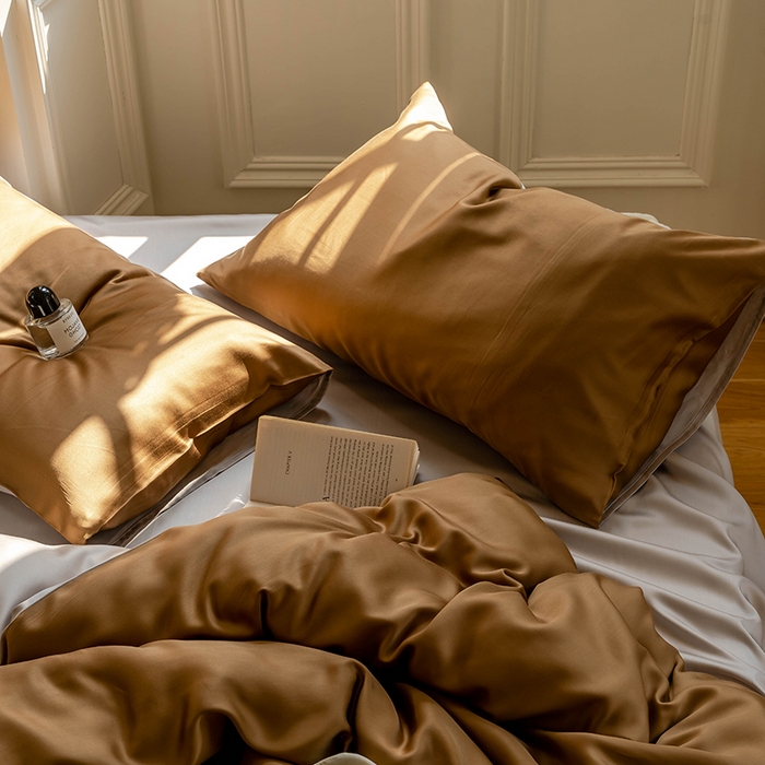 91家纺网 家纺一手货源 找家纺 浩情国际婚庆供货中心 2026新款60支奥地利兰精天丝纯色双拼系列四件套 敦煌色-曙光银