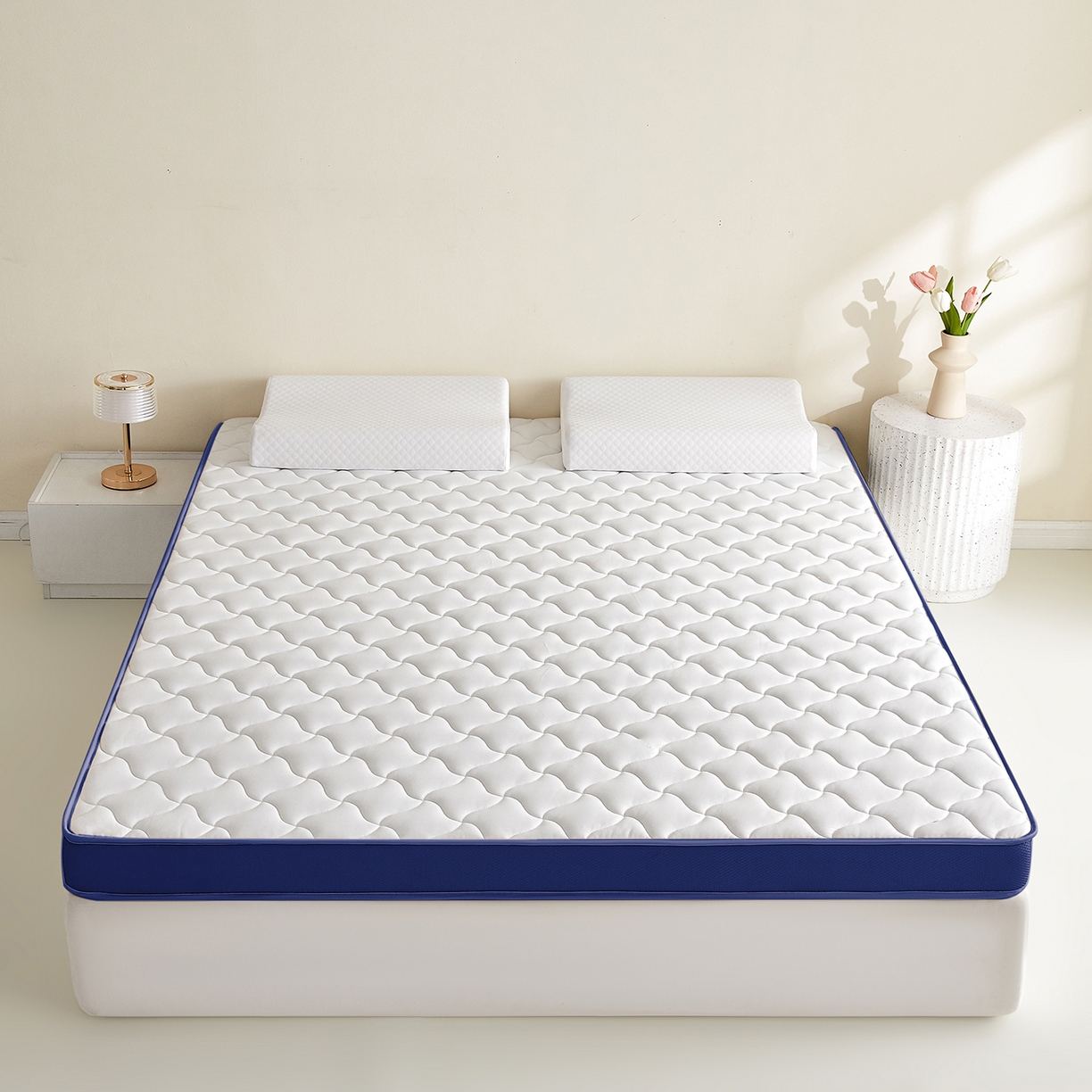 91家纺网 家纺一手货源 找家纺 （总）芊梵床垫 2025新款牛奶绒褥子系列-无烫画版