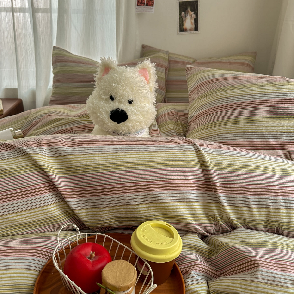 91家纺网 家纺一手货源 找家纺 思诺羽床笠 2026新款亲肤云朵双层纱无印风水洗棉三件套四件套 奶霜条