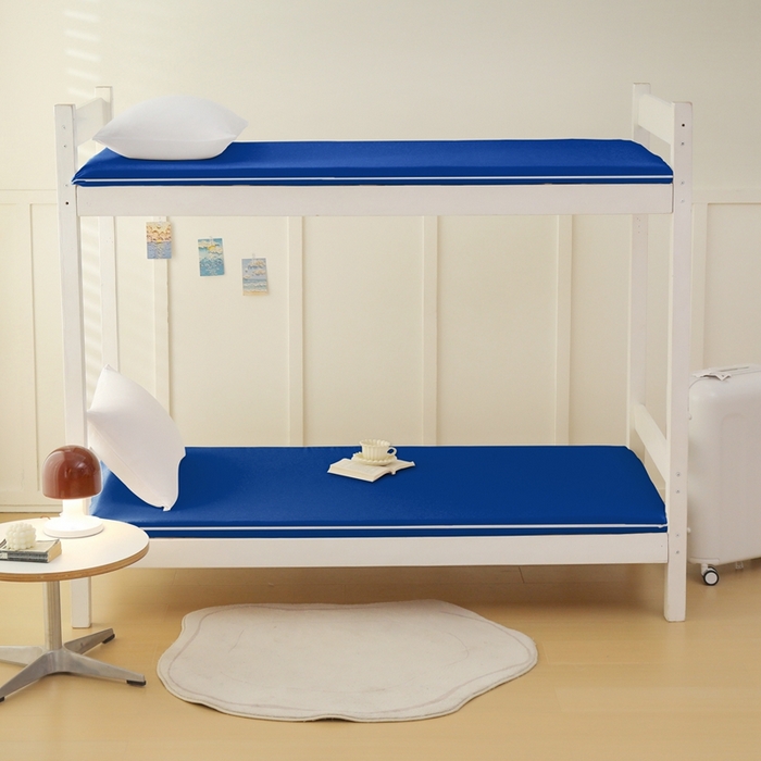 91家纺网 家纺一手货源 找家纺 啊雅家居 2026新款L形拉链全包床垫套学生宿舍家用被褥套 克莱因蓝