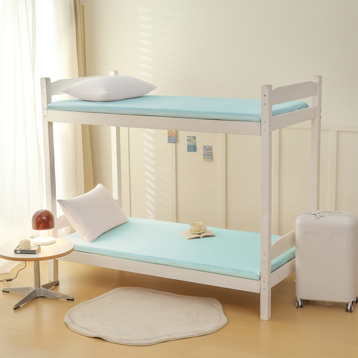 91家纺网 家纺一手货源 找家纺 啊雅家居 2026新款L形拉链全包床垫套学生宿舍家用被褥套 水绿