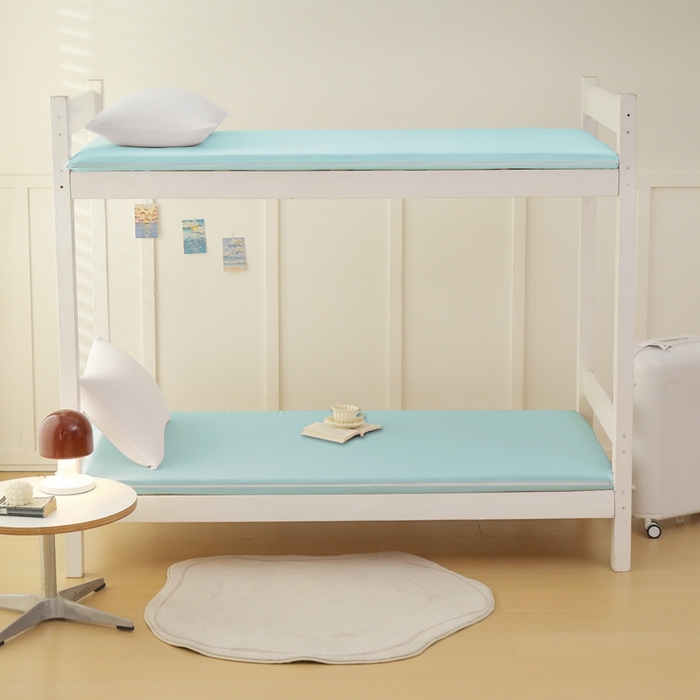 91家纺网 家纺一手货源 找家纺 啊雅家居 2026新款L形拉链全包床垫套学生宿舍家用被褥套 水绿