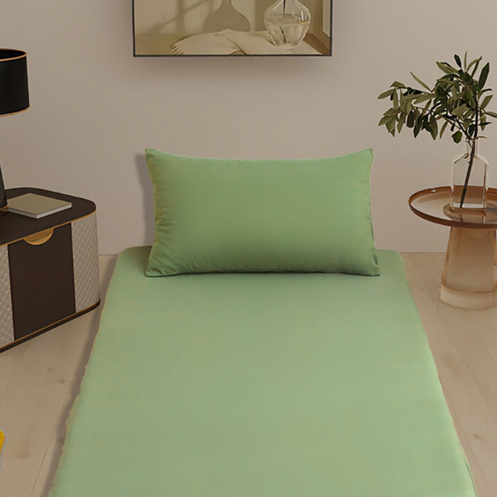 91家纺网 家纺一手货源 找家纺 啊雅家居 2026新款学生宿舍家用双面被褥套床垫套 草绿