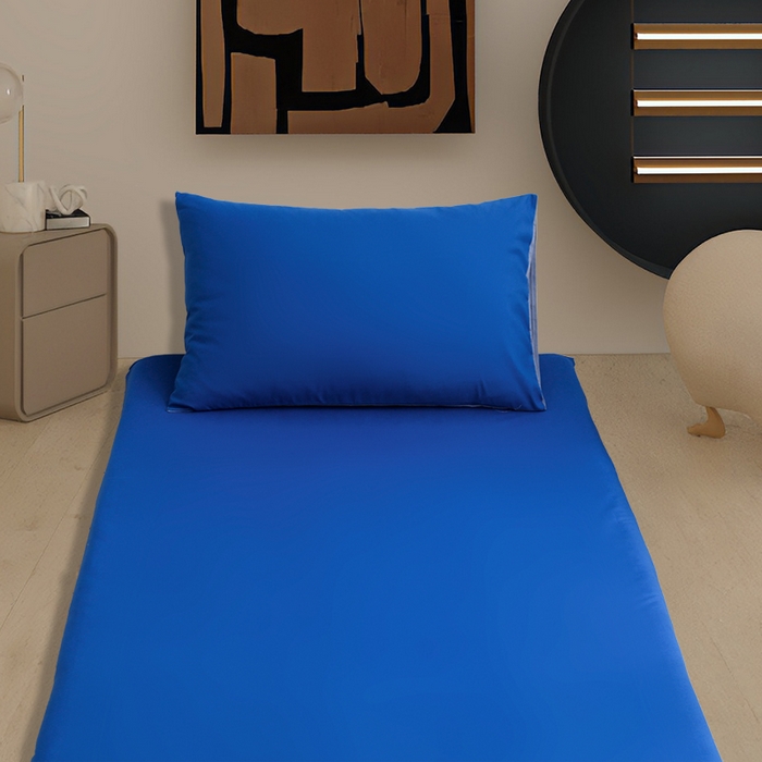 91家纺网 家纺一手货源 找家纺 啊雅家居 2026新款学生宿舍家用双面被褥套床垫套 克莱因蓝