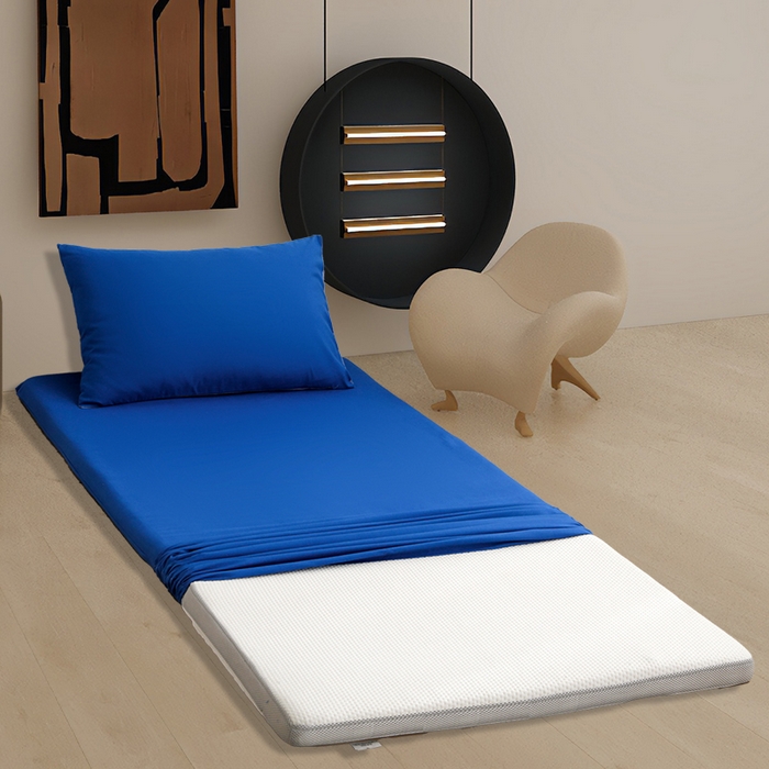 91家纺网 家纺一手货源 找家纺 啊雅家居 2026新款学生宿舍家用双面被褥套床垫套 克莱因蓝