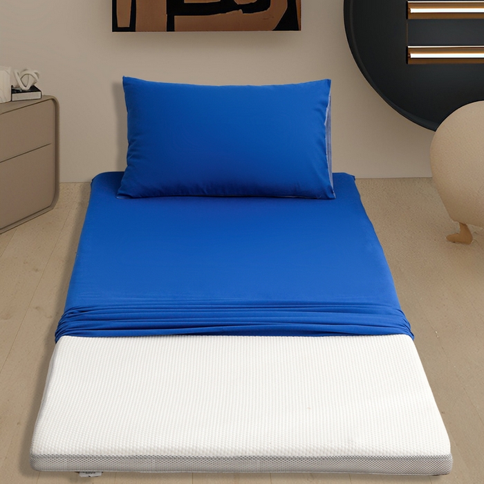 91家纺网 家纺一手货源 找家纺 啊雅家居 2026新款学生宿舍家用双面被褥套床垫套 克莱因蓝